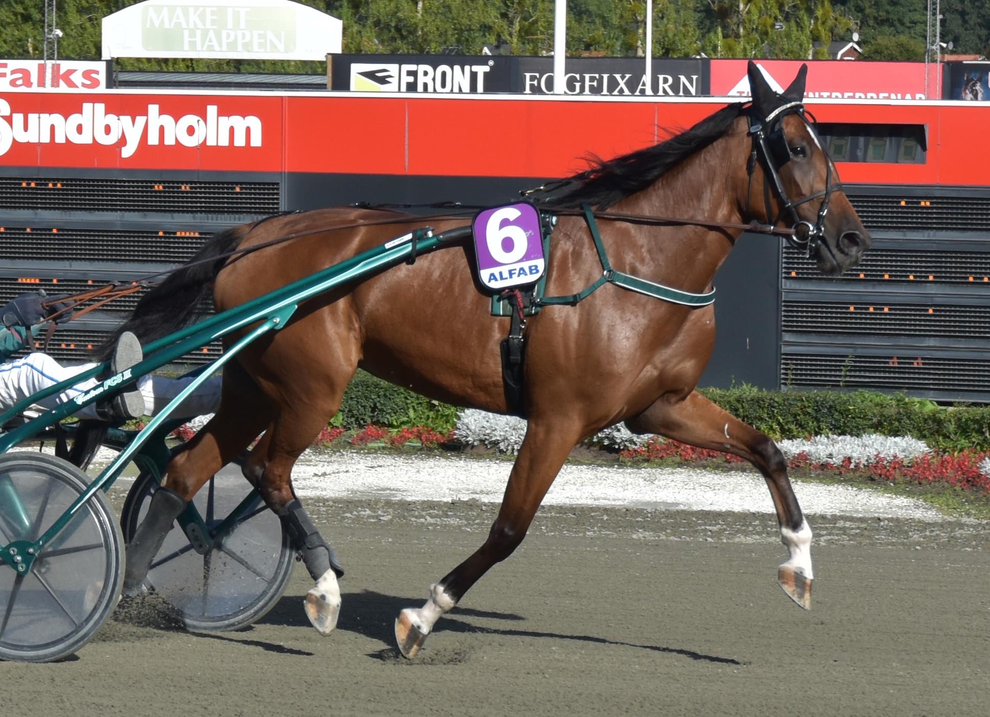 Futurity 240913-4